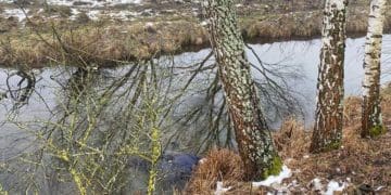 тіло у річці