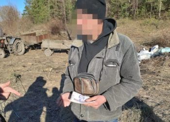 лісник хабар