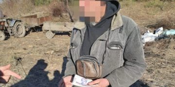 лісник хабар