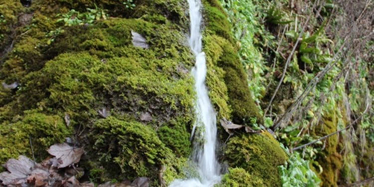 Урочище пустельника – мальовниче місце на Тернопільщині в Дністровському каньйоні