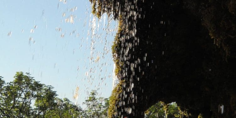 Урочище пустельника – мальовниче місце на Тернопільщині в Дністровському каньйоні