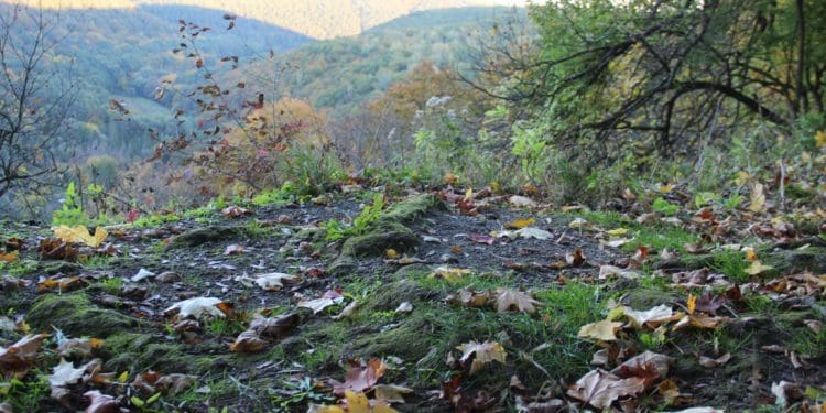 Урочище пустельника – мальовниче місце на Тернопільщині в Дністровському каньйоні