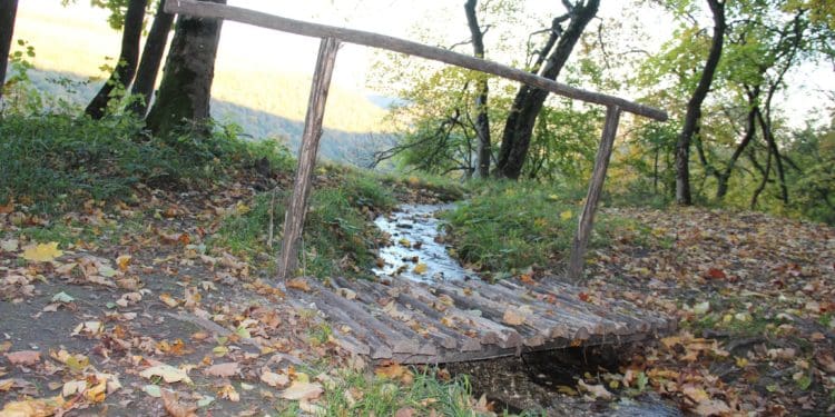 Урочище пустельника – мальовниче місце на Тернопільщині в Дністровському каньйоні