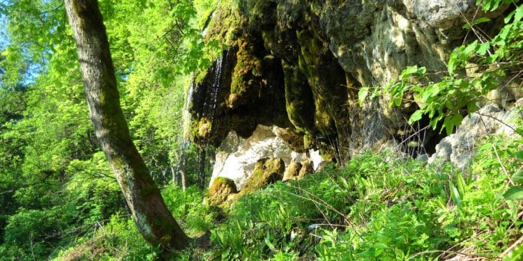 Урочище пустельника – мальовниче місце на Тернопільщині в Дністровському каньйоні