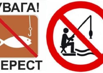 З 1 квітня на всіх рибогосподарських водних об’єктах Тернопільщини починається нерест