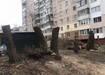 Почали розслідування і готують позов до суду через зрубані дерева на бульварі Вишневецького у Тернополі