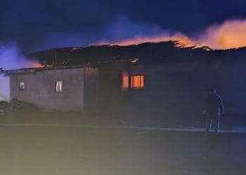 Ферму з тваринами рятували від пожежі у Колиндянській громаді