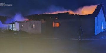 Ферму з тваринами рятували від пожежі у Колиндянській громаді