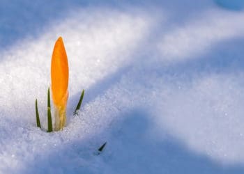 З понеділка на Тернопільщині оголосили штормове попередження