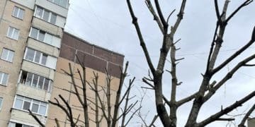 обрізали дерева