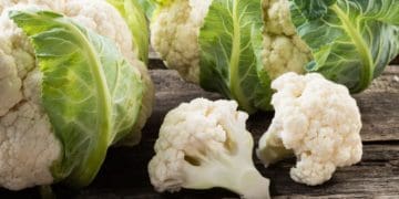 Секрети посадки та догляду цвітної капусти