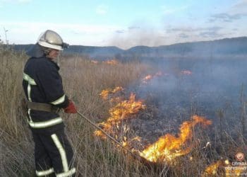 На Тернопільщині знову палять траву – у вогні гектари землі