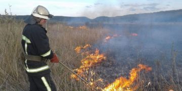 На Тернопільщині знову палять траву – у вогні гектари землі