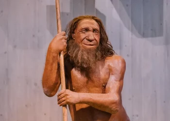 Вчені назвали історичний час, коли люди навчилися розмовляти