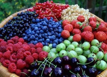 Шість ягід і фруктів для підвищеня гемоглобіну