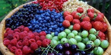 Шість ягід і фруктів для підвищеня гемоглобіну