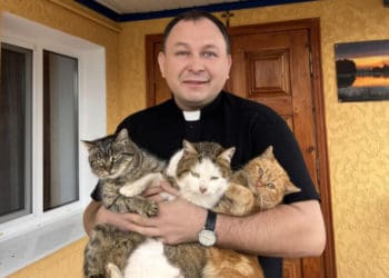 Чи можна молитися за котів розповів священник з Тернопільщини