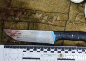 За вбивство співмешканця своєї тещі постане перед судом житель Кременеччини