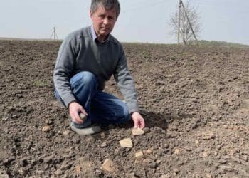 Нові пам’ятки виявили на місці трипільських поселень на Борщівщині