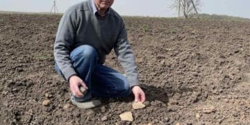 Нові пам’ятки виявили на місці трипільських поселень на Борщівщині