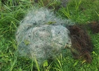 5 протоколів склали на порушників правил рибальства на водоймах Тернопільщини за тиждень