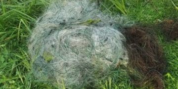 5 протоколів склали на порушників правил рибальства на водоймах Тернопільщини за тиждень