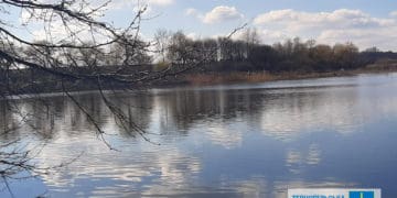 Землю зі ставком за понад 900 мільйонів у Тернопільському районі повернули у власність держави
