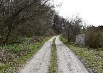 сексуальне насильство