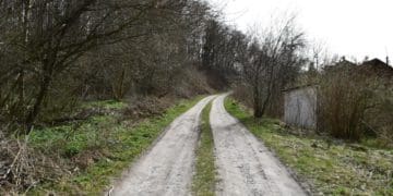 сексуальне насильство