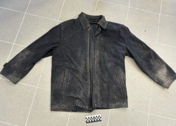 У полі на Підгаєччині знайшли тіло невідомого чоловіка