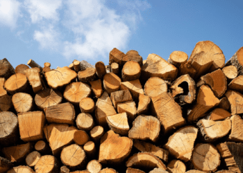 Житель Тернопільщини обіцяв знайомим дрова, а забрав 80 тисяч