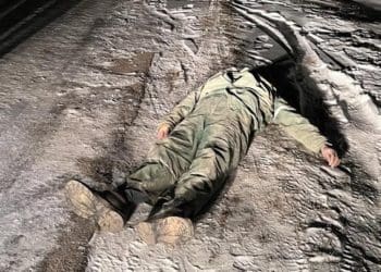 Готують підозру працівникам агрофірми нардепа з Тернопільщини, які вчинили наругу над тілом у Настасові