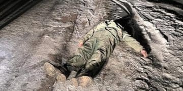 Готують підозру працівникам агрофірми нардепа з Тернопільщини, які вчинили наругу над тілом у Настасові