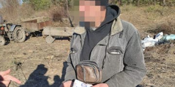 Хотів продати деревину за хабар: судитимуть лісника на Тернопільщині