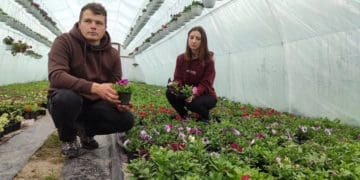 Подружжя з Теребовлі за 5 років висадили понад 50 різновидів контейнерних квітів