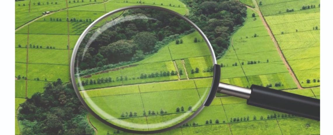 Незаконна перереєстрація земельних ділянок