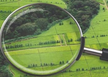 У товариства вимагають повернути землю на Кременечині, де мали збудувати сміттєпереробний комплекс