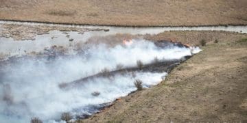 палять траву