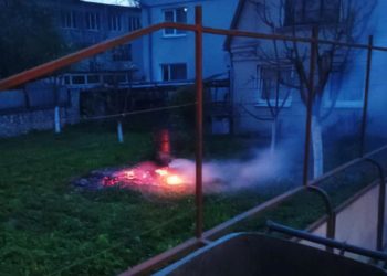 У Тернополі оштрафували чоловіка, який палив сміття та гілки дерев