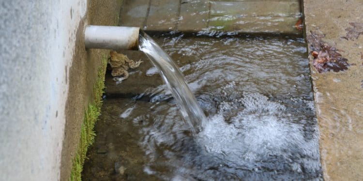 Тернопільщина туристична: Урочище «Монастирок» в селі Лісники