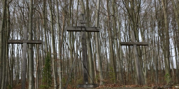 Тернопільщина туристична: Урочище «Монастирок» в селі Лісники