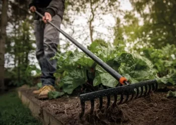 На Тернопільщині жінка побила сусідку граблями