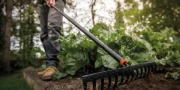 На Тернопільщині жінка побила сусідку граблями