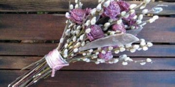 Вербна неділя