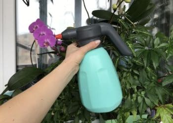Зручне оброблення саду і городу: огляд бюджетних акумуляторних оприскувачів