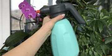 Зручне оброблення саду і городу: огляд бюджетних акумуляторних оприскувачів