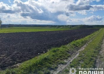 тіло у полі