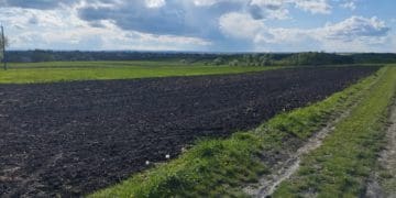 тіло у полі