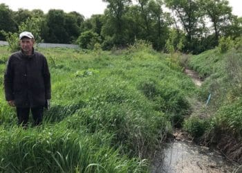 “Смердить так, що неможливо тут жити”: жителі Острова скаржаться на підприємство, яке займається забоєм тварин