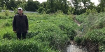 “Смердить так, що неможливо тут жити”: жителі Острова скаржаться на підприємство, яке займається забоєм тварин